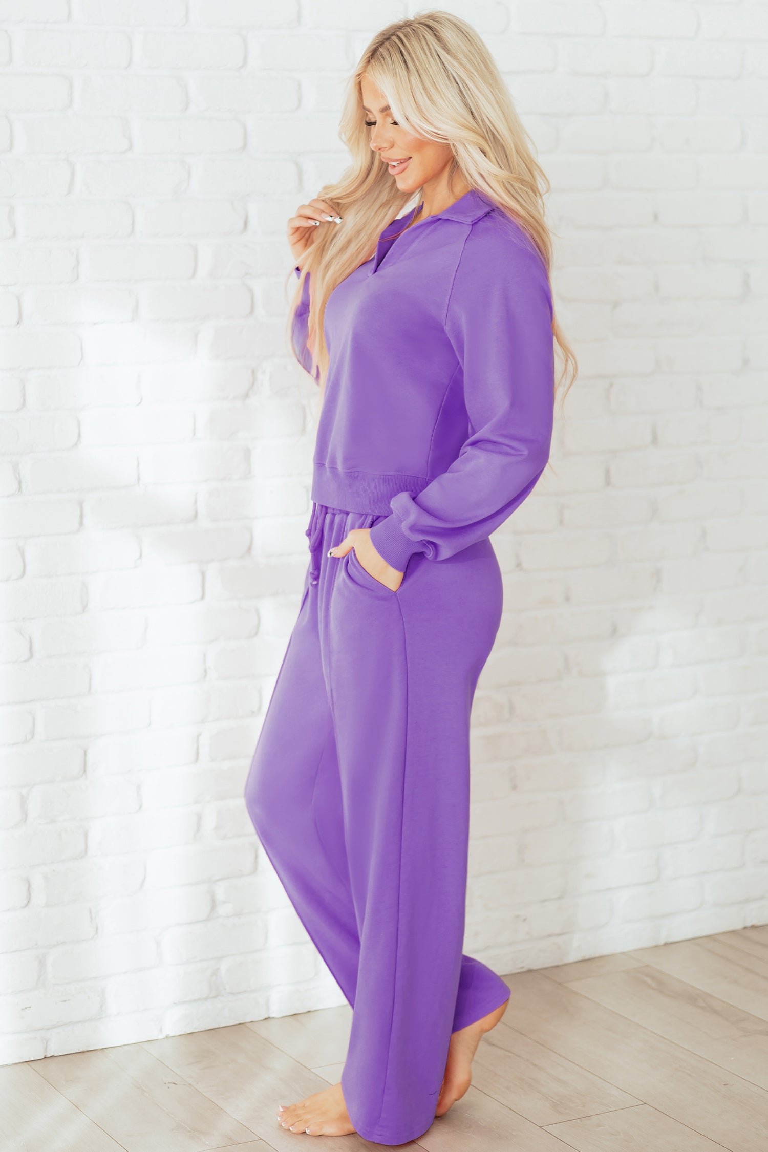 Wisteria Solid Color Collared Pullover and Central Seam Pants Set